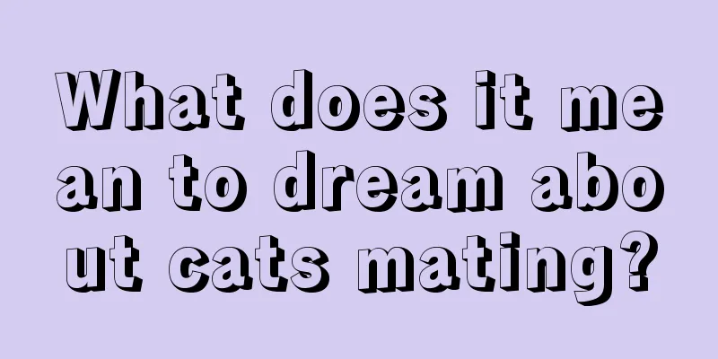 What does it mean to dream about cats mating?