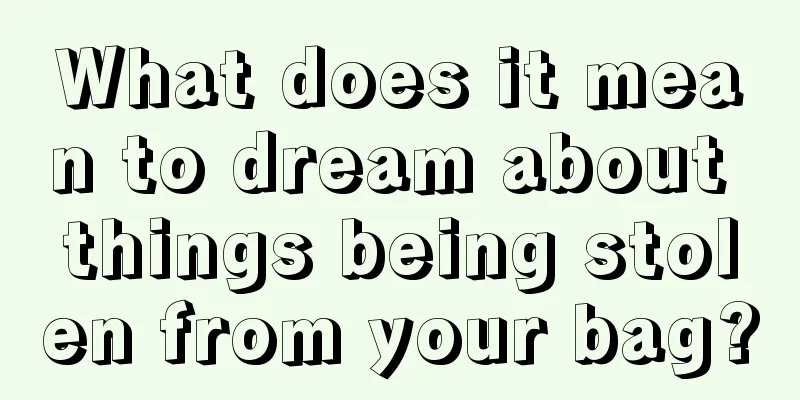 What does it mean to dream about things being stolen from your bag?