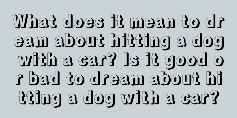 What does it mean to dream about hitting a dog with a car? Is it good or bad to dream about hitting a dog with a car?