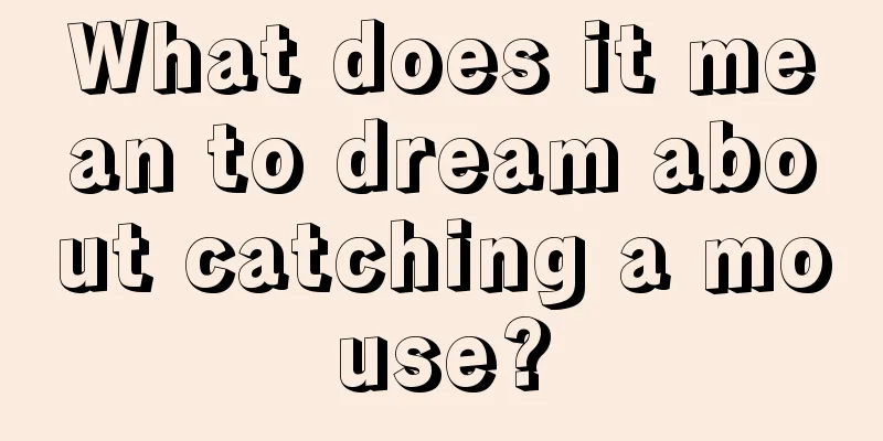 What does it mean to dream about catching a mouse?