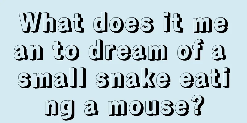 What does it mean to dream of a small snake eating a mouse?