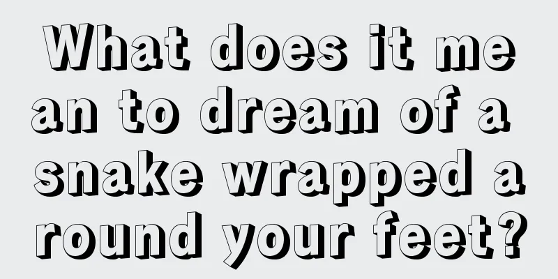 What does it mean to dream of a snake wrapped around your feet?