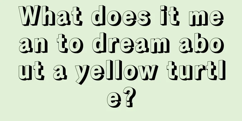 What does it mean to dream about a yellow turtle?