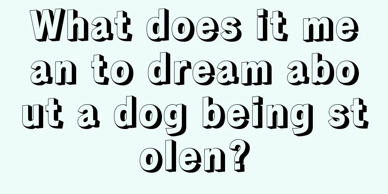 What does it mean to dream about a dog being stolen?