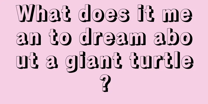 What does it mean to dream about a giant turtle?