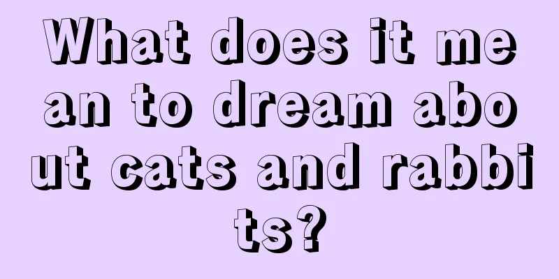 What does it mean to dream about cats and rabbits?