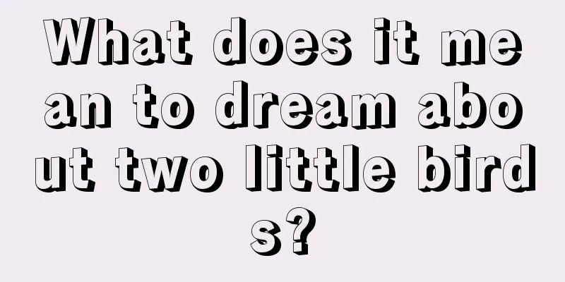 What does it mean to dream about two little birds?