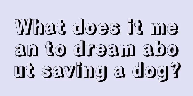 What does it mean to dream about saving a dog?