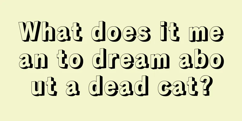 What does it mean to dream about a dead cat?