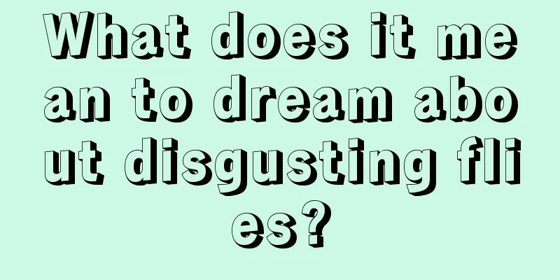 What does it mean to dream about disgusting flies?