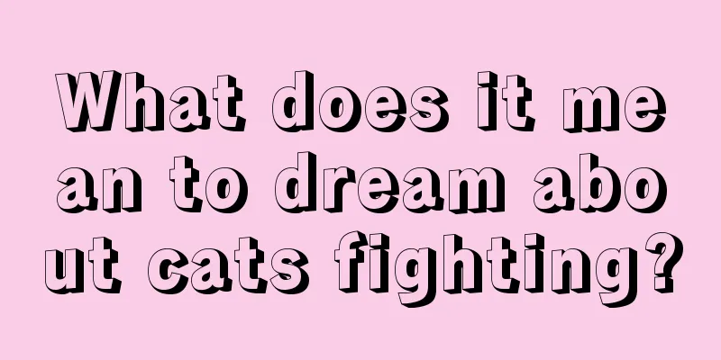 What does it mean to dream about cats fighting?