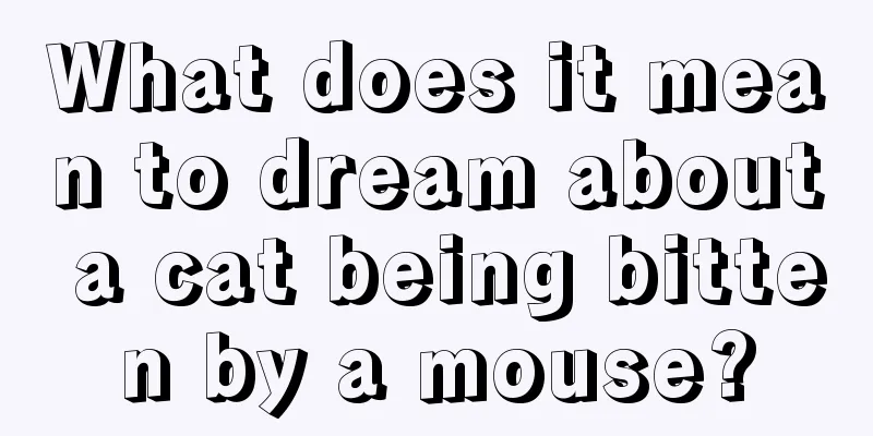 What does it mean to dream about a cat being bitten by a mouse?