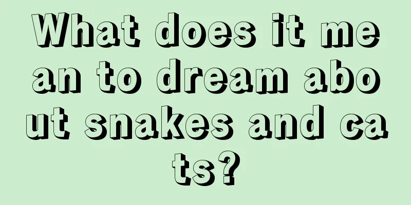 What does it mean to dream about snakes and cats?