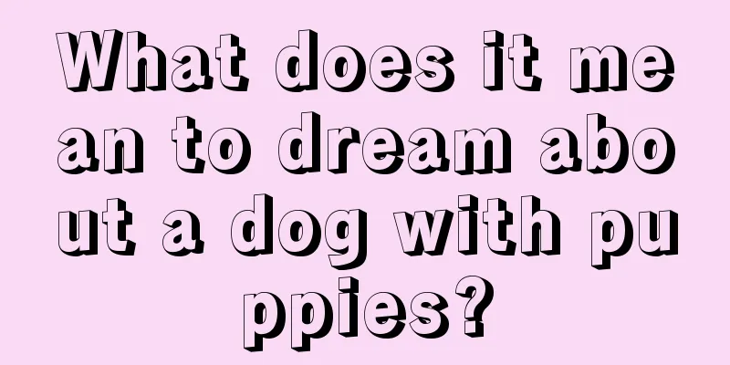 What does it mean to dream about a dog with puppies?