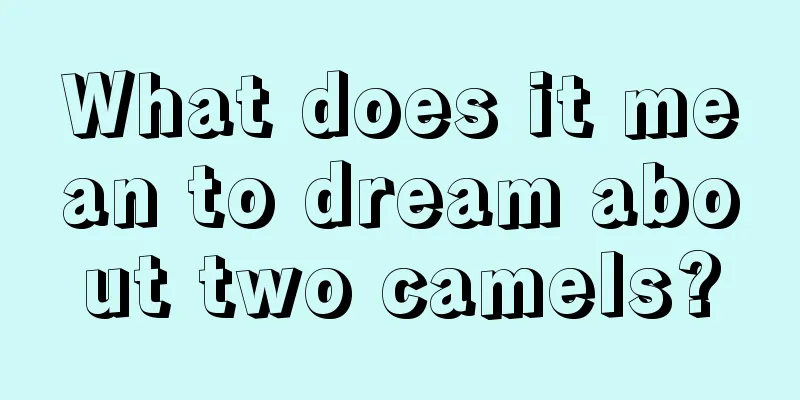 What does it mean to dream about two camels?