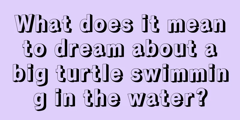 What does it mean to dream about a big turtle swimming in the water?