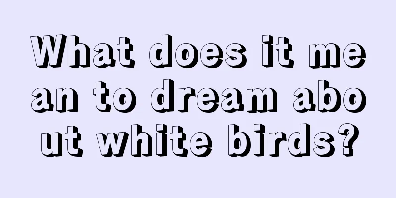 What does it mean to dream about white birds?