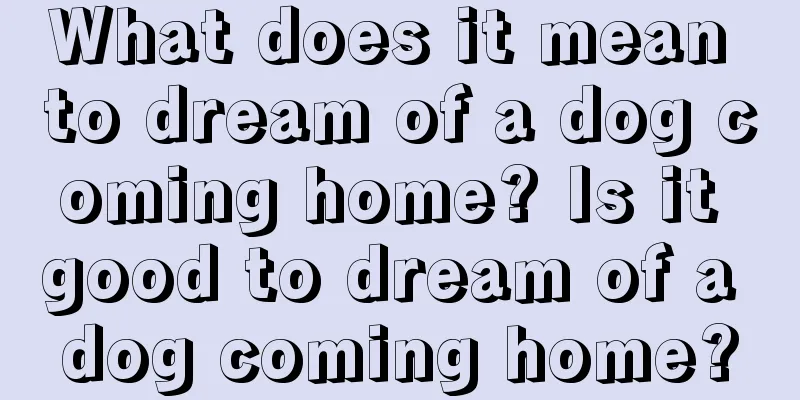 What does it mean to dream of a dog coming home? Is it good to dream of a dog coming home?