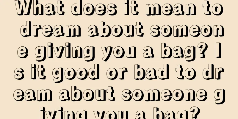 What does it mean to dream about someone giving you a bag? Is it good or bad to dream about someone giving you a bag?