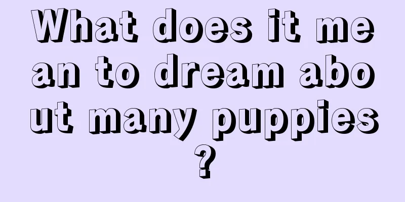 What does it mean to dream about many puppies?