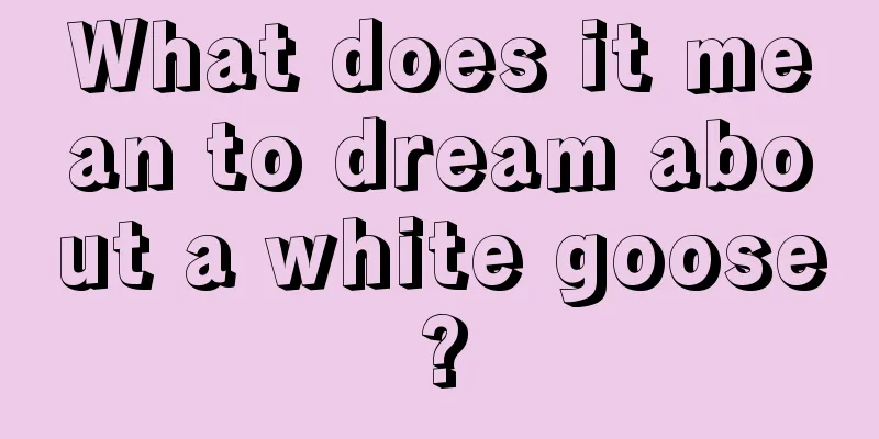 What does it mean to dream about a white goose?