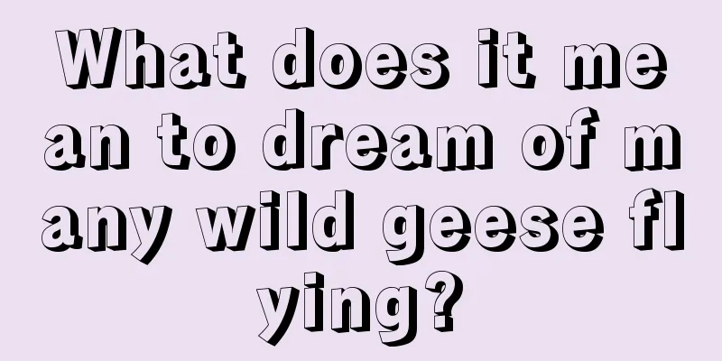 What does it mean to dream of many wild geese flying?