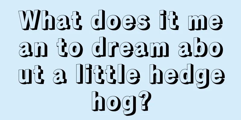 What does it mean to dream about a little hedgehog?