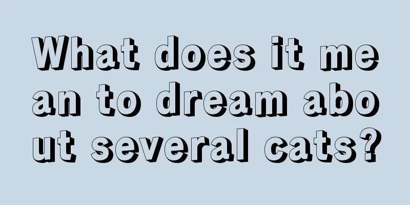 What does it mean to dream about several cats?