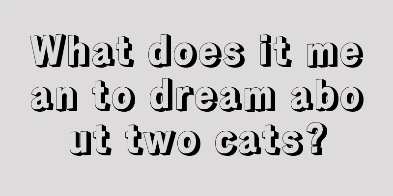 What does it mean to dream about two cats?