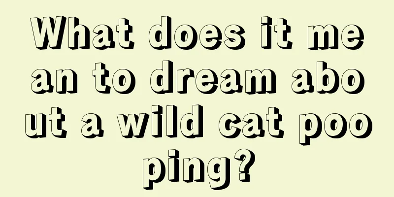 What does it mean to dream about a wild cat pooping?