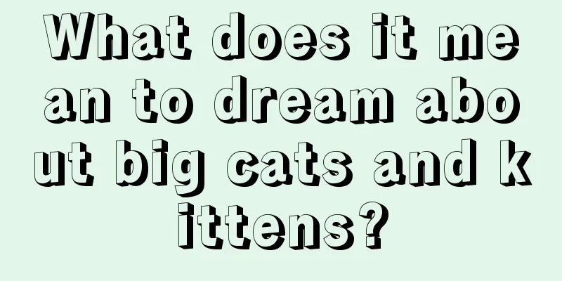 What does it mean to dream about big cats and kittens?