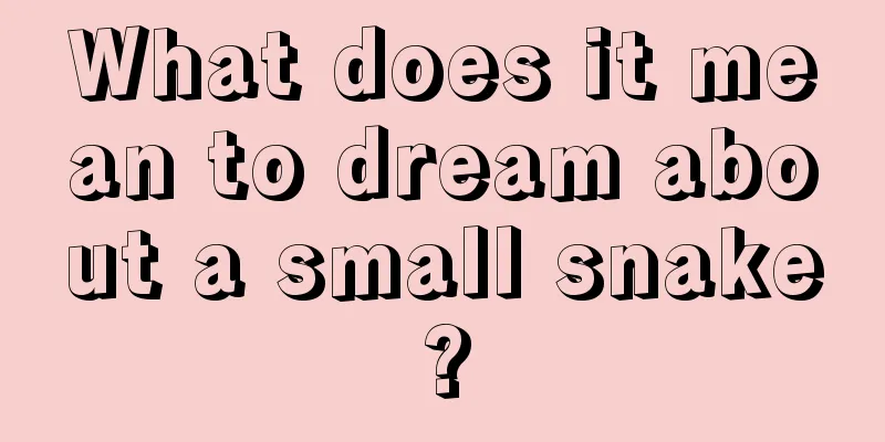 What does it mean to dream about a small snake?