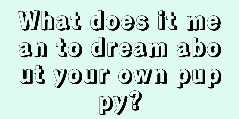 What does it mean to dream about your own puppy?