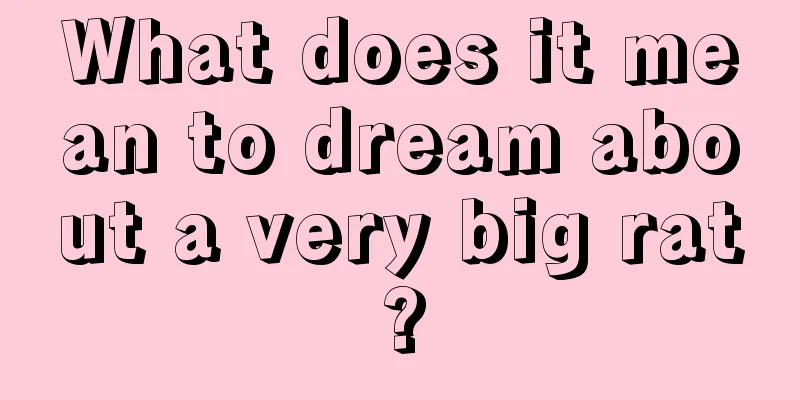 What does it mean to dream about a very big rat?