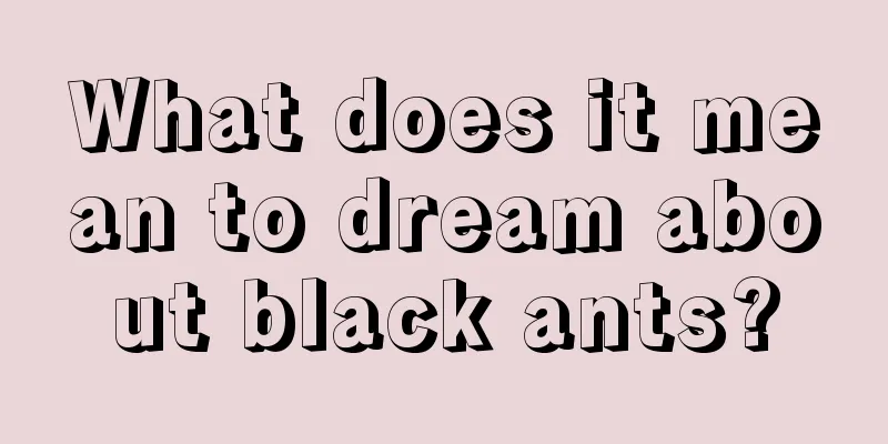 What does it mean to dream about black ants?