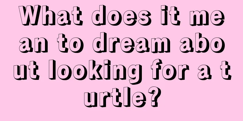 What does it mean to dream about looking for a turtle?