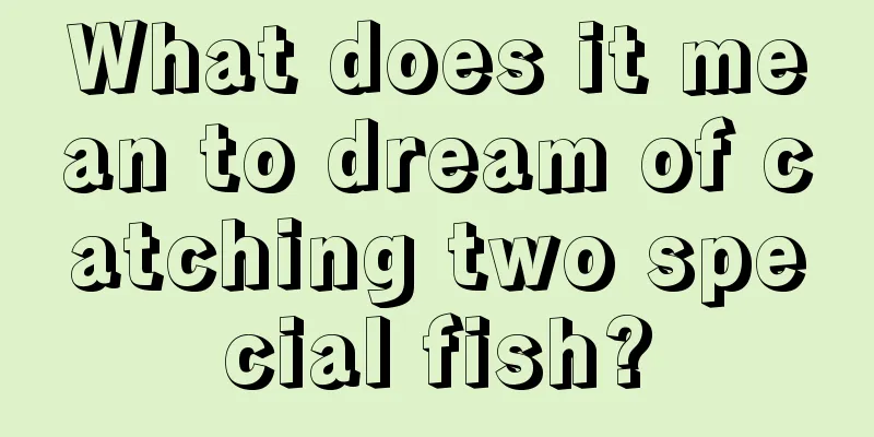 What does it mean to dream of catching two special fish?