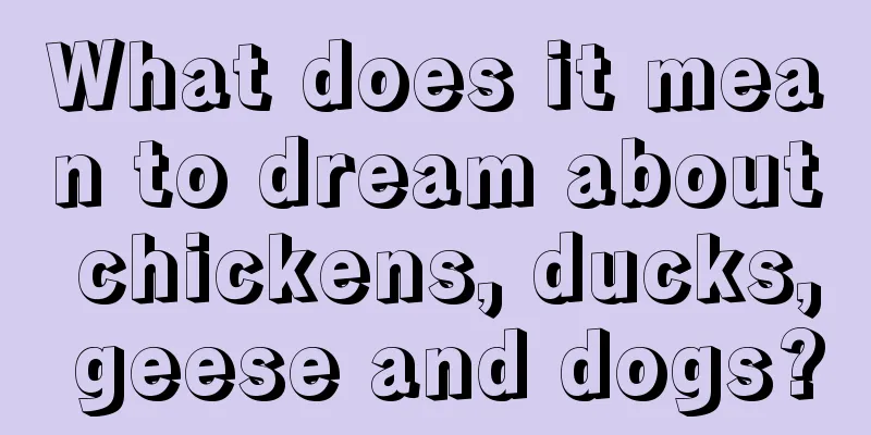 What does it mean to dream about chickens, ducks, geese and dogs?