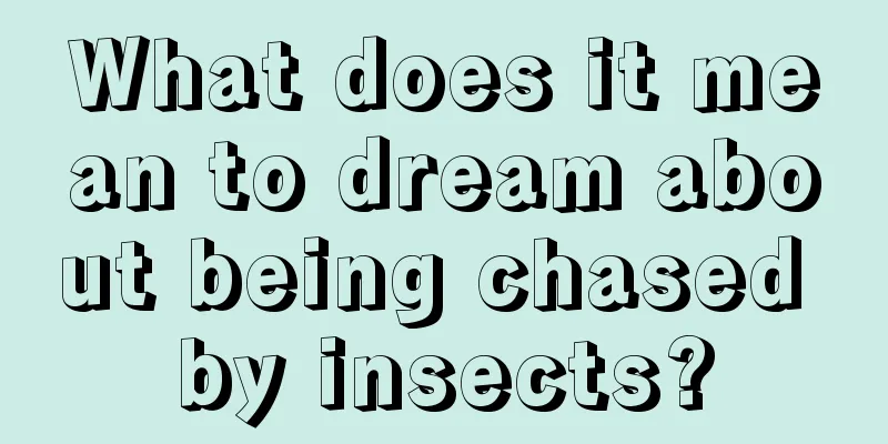 What does it mean to dream about being chased by insects?