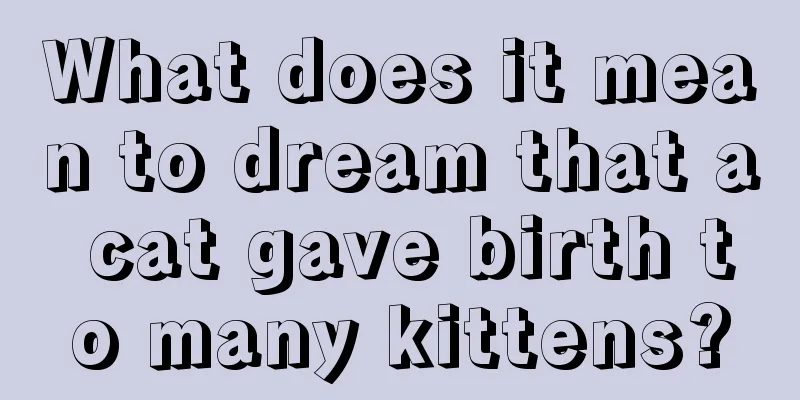 What does it mean to dream that a cat gave birth to many kittens?