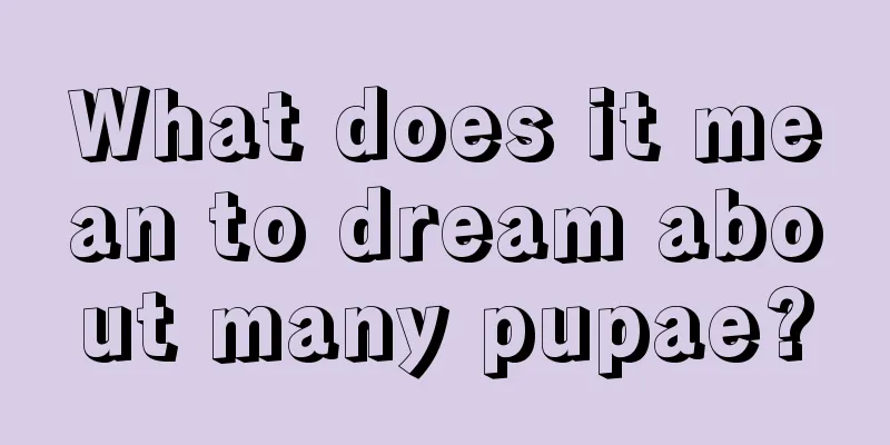 What does it mean to dream about many pupae?