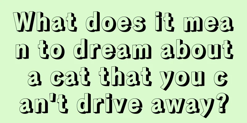 What does it mean to dream about a cat that you can't drive away?