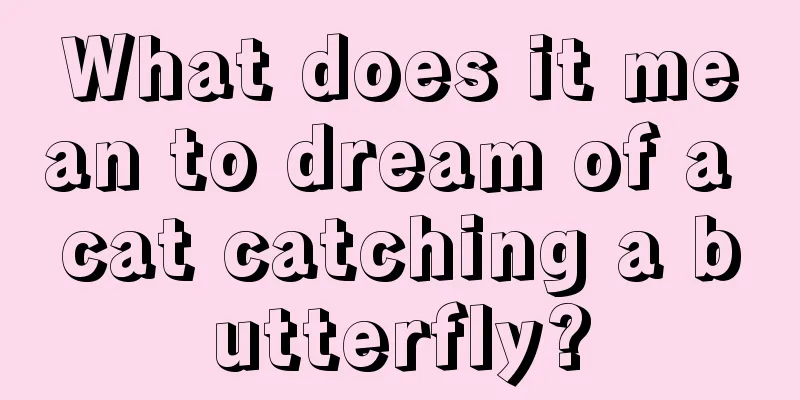 What does it mean to dream of a cat catching a butterfly?