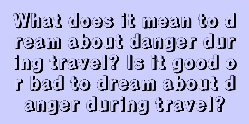 What does it mean to dream about danger during travel? Is it good or bad to dream about danger during travel?