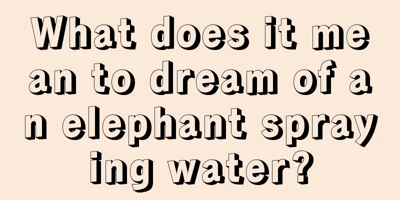 What does it mean to dream of an elephant spraying water?