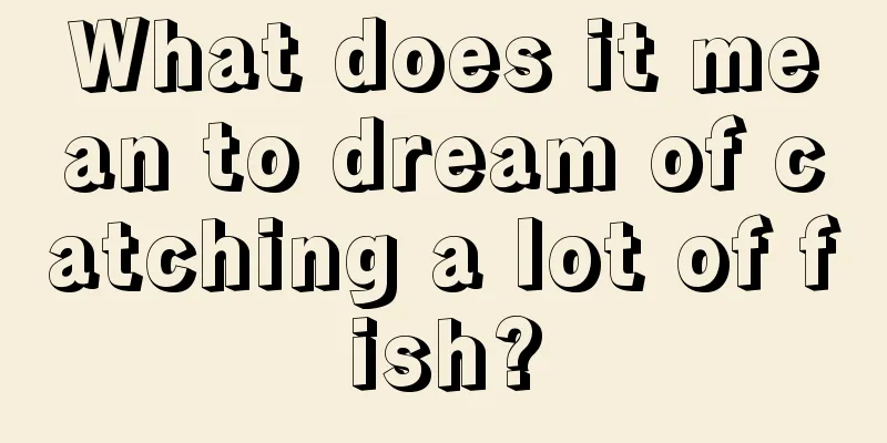 What does it mean to dream of catching a lot of fish?