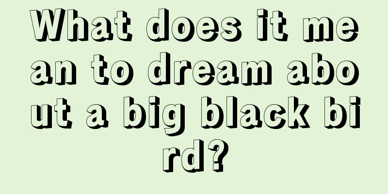 What does it mean to dream about a big black bird?