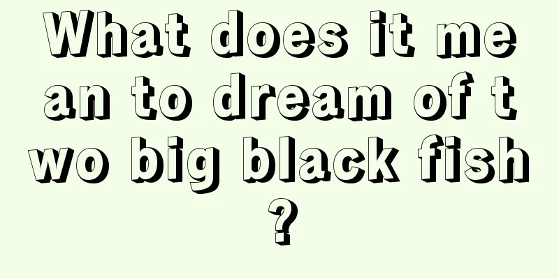 What does it mean to dream of two big black fish?