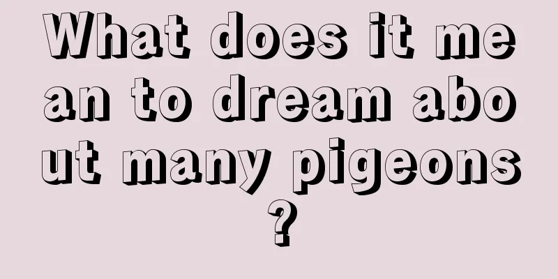 What does it mean to dream about many pigeons?