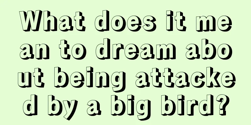 What does it mean to dream about being attacked by a big bird?